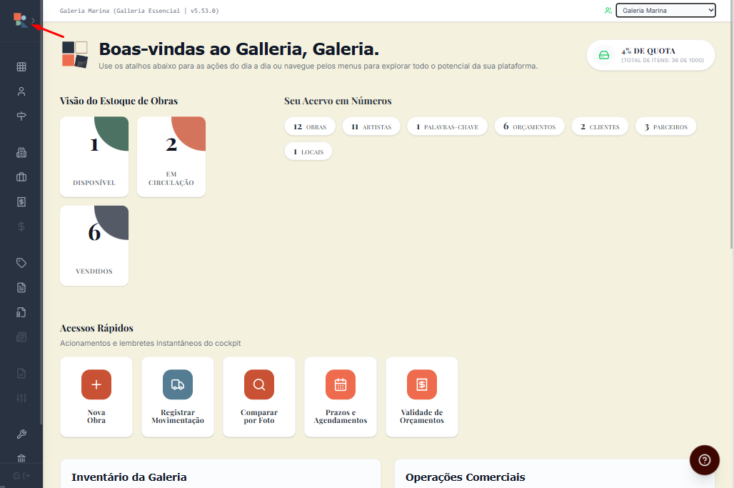 Tela com principais botões de acesso à Plataforma do Acervo Vivo Galleria