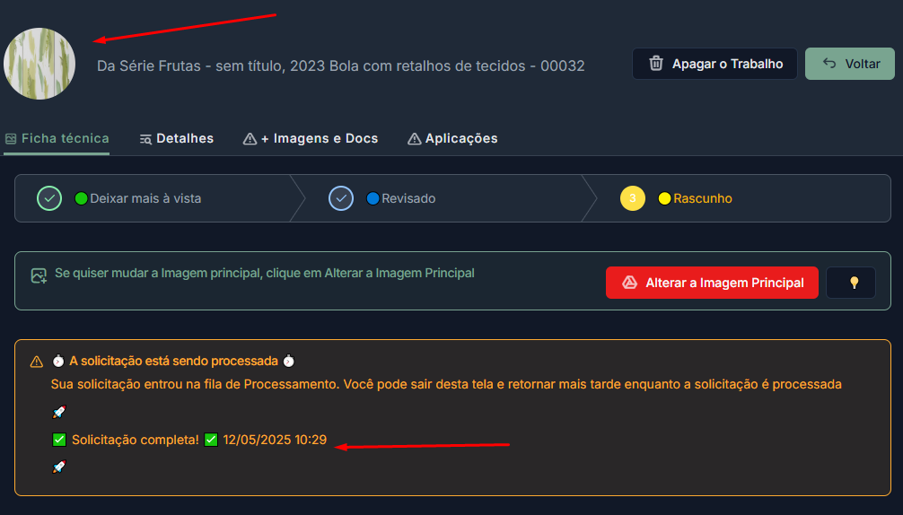 Imagem da Ficha Técnica já com a miniatura da imagem principal visível