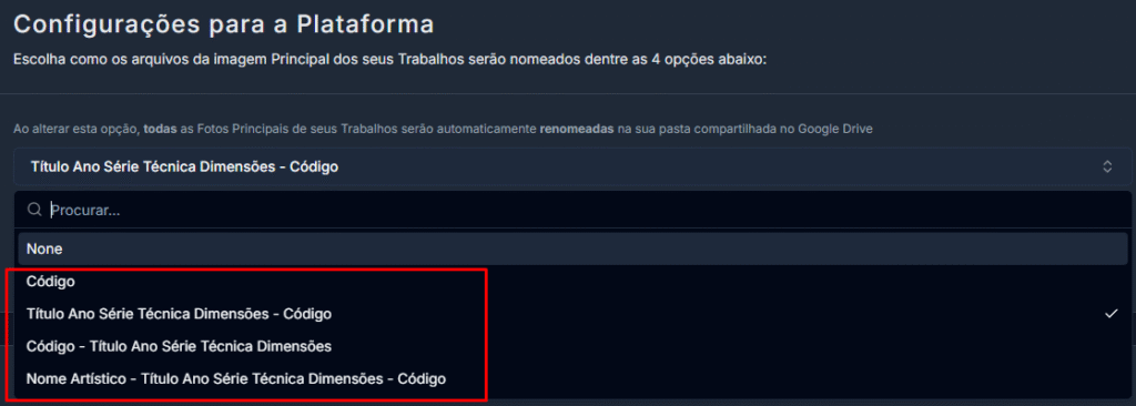 Opções de nomenclatura da imagem principal na seção 'Minha Conta', aba 'Plataforma', do Acervo Vivo
