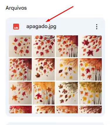 Imagem de exemplo da pasta do Google Drive mostrando um arquivo de imagem principal renomeado com "apagado-"