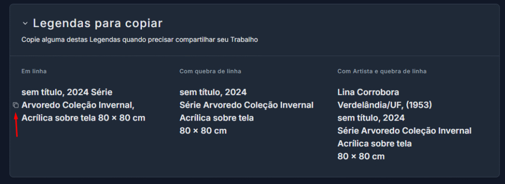 Imagem mostrando a área de "Legendas para copiar" com os diferentes formatos